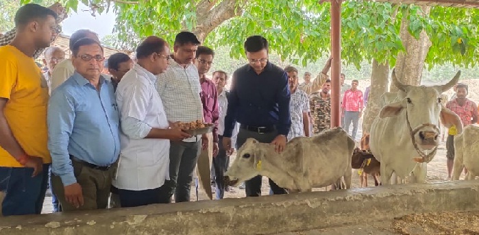 Gonda News:चार्ज लेते ही CDO एक्शन में, औचक निरीक्षण शुरू