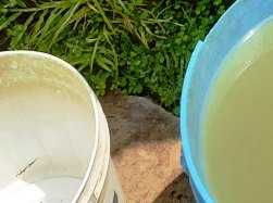 लखनऊ के चारबाग में दूषित पानी की सप्लाई से बीमारियों का संकट