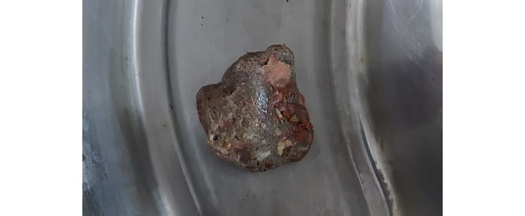 Gonda Capsule : छापे में सवा दो लाख का सिंगल यूज प्लास्टिक बरामद 4 Gonda Capsule : छापे में सवा दो लाख का सिंगल यूज प्लास्टिक बरामद