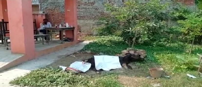 Gonda : आज की प्रमुख खबरों पर एक नजर