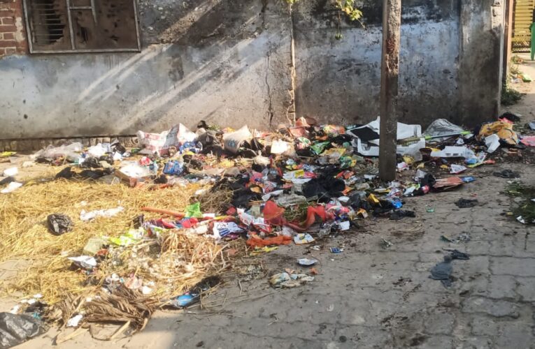 बलरामपुर :नगर क्षेत्र की सफाई व्यवस्था पूरी तरह पंगु हो चुकी है।