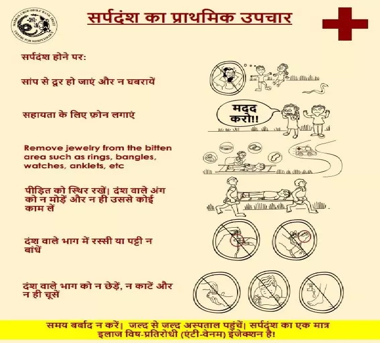 Gonda : सर्पदंश सप्ताह में लोगों को किया गया जागरूक