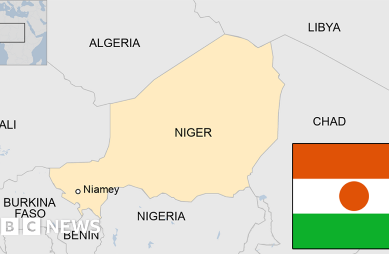 विदेश मंत्रालय ने भारतीय नागरिकों को अफ्रीकी देश नाइजर छोड़ने की दी सलाह