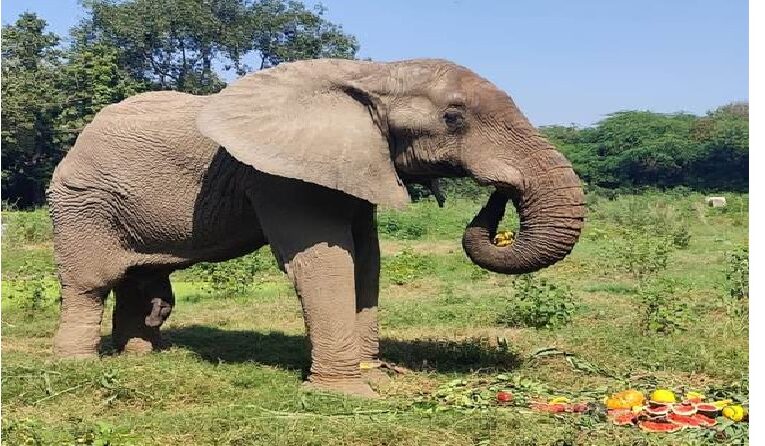 राजा भैया के प्रयास से ’शंकर’ हुआ जंजीर मुक्त