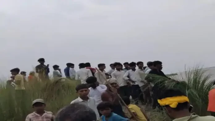 गोंडा में मगरमच्छ हमला की घटना