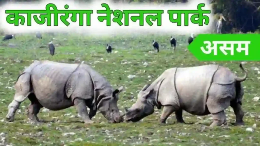 भारत के नेशनल पार्क मानसून में क्यों हो जाते हैं बंद? 4 भारत के नेशनल पार्क मानसून में क्यों हो जाते हैं बंद?