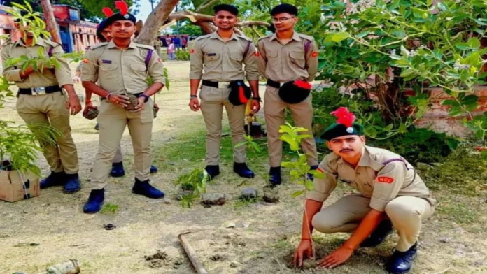 विश्व पर्यावरण दिवस